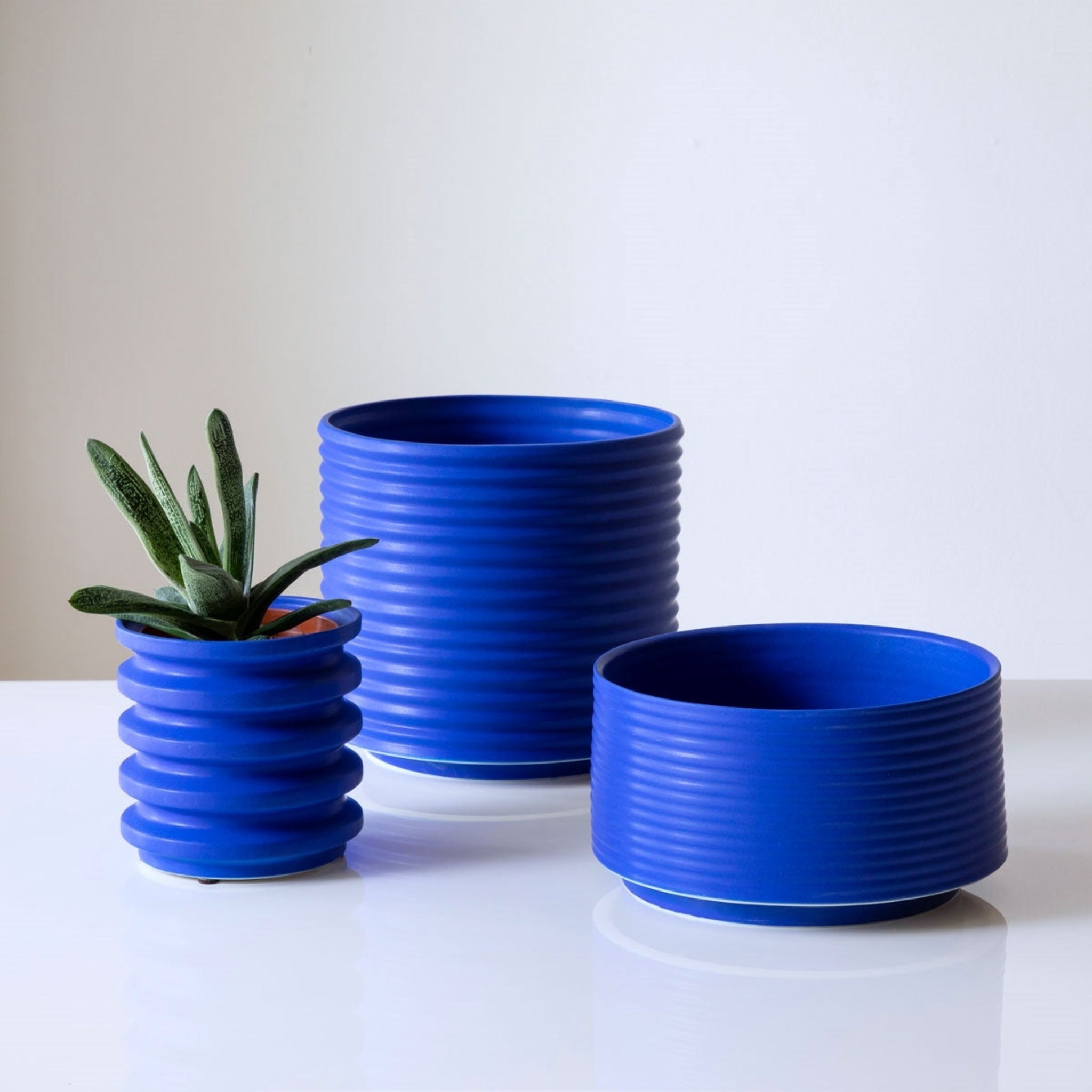 cobalt blue planter pot Porcelain Planters In Electric Blue – Comerford Collection