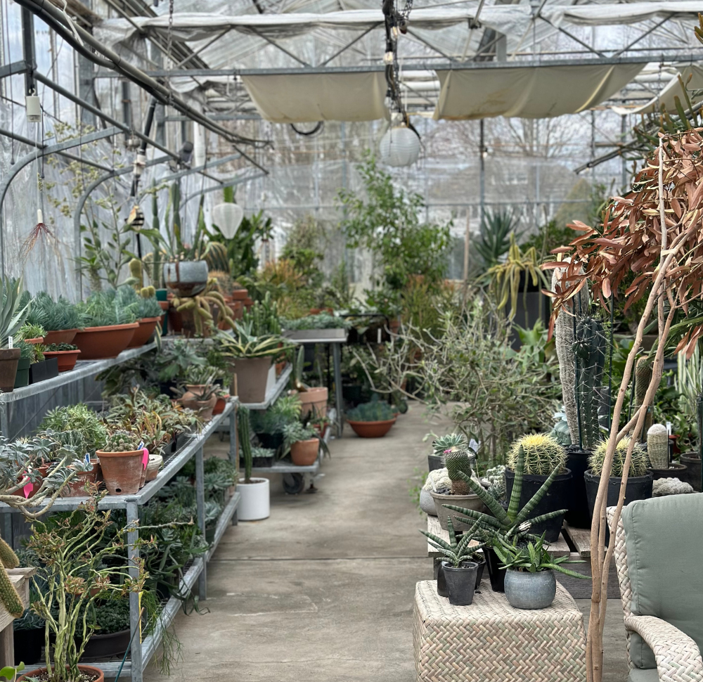 Comerford Collection at Broadview Gardens