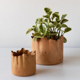 Tamarind Flame Bowls