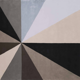Burst Area Rug