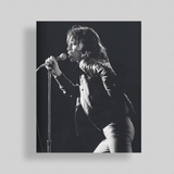 Rolling Stones: Icons