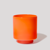 Fiorelli Container in Persimmon