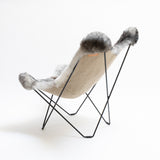 Butterfly Chair