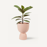 Stacked Planter