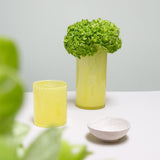 Citrus Cylinder Vase