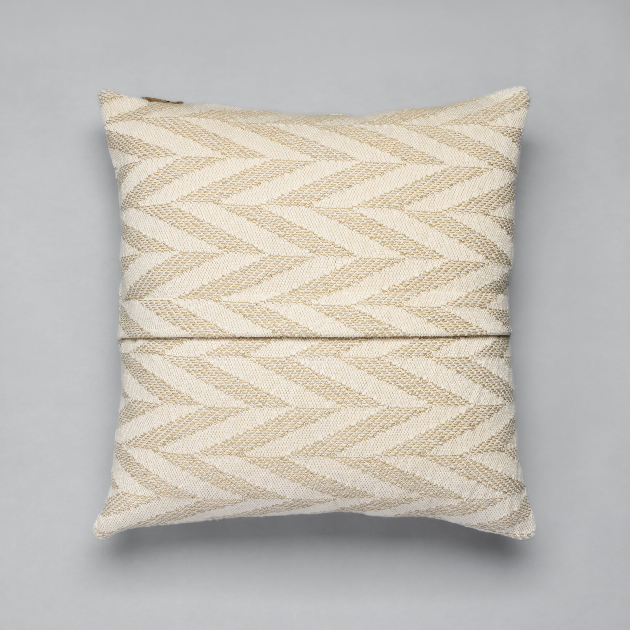 Biplex Pillow
