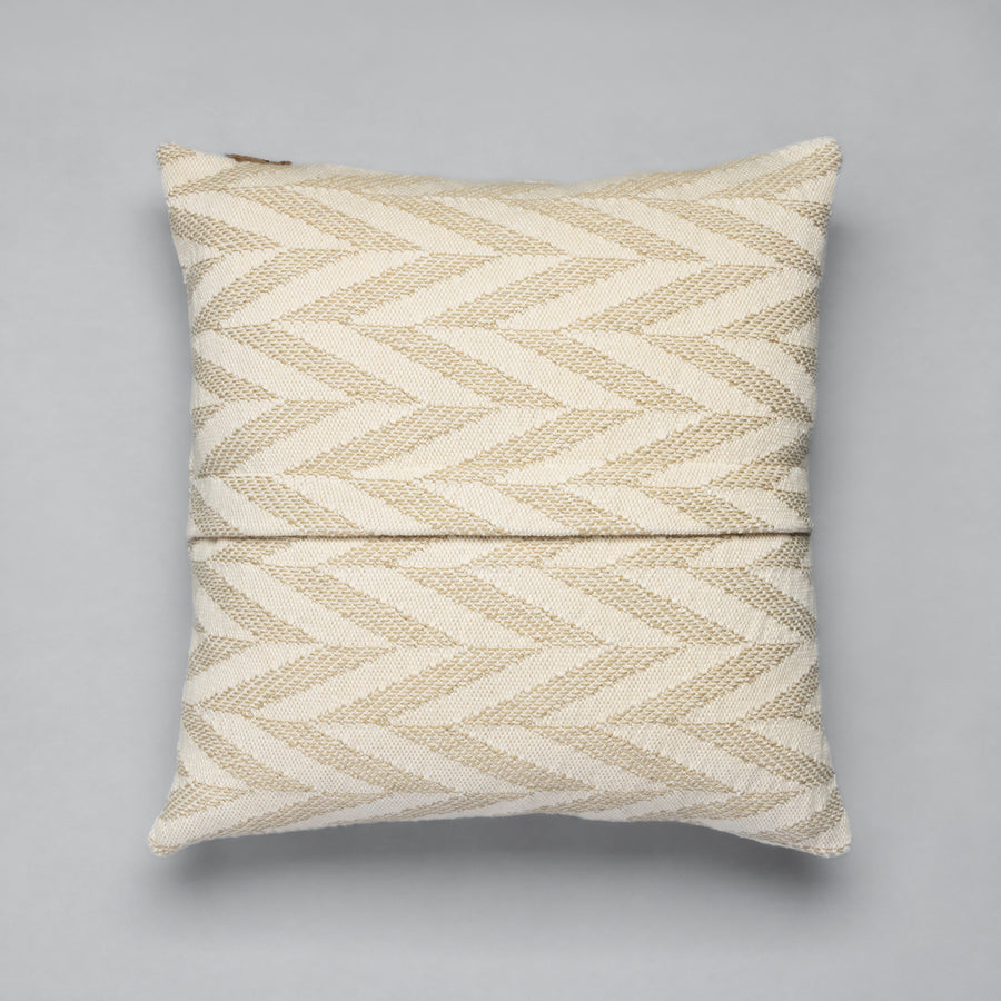 Biplex Pillow