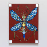 African Mosquito