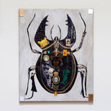 Alien Beetle