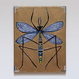 Blue Mosquito