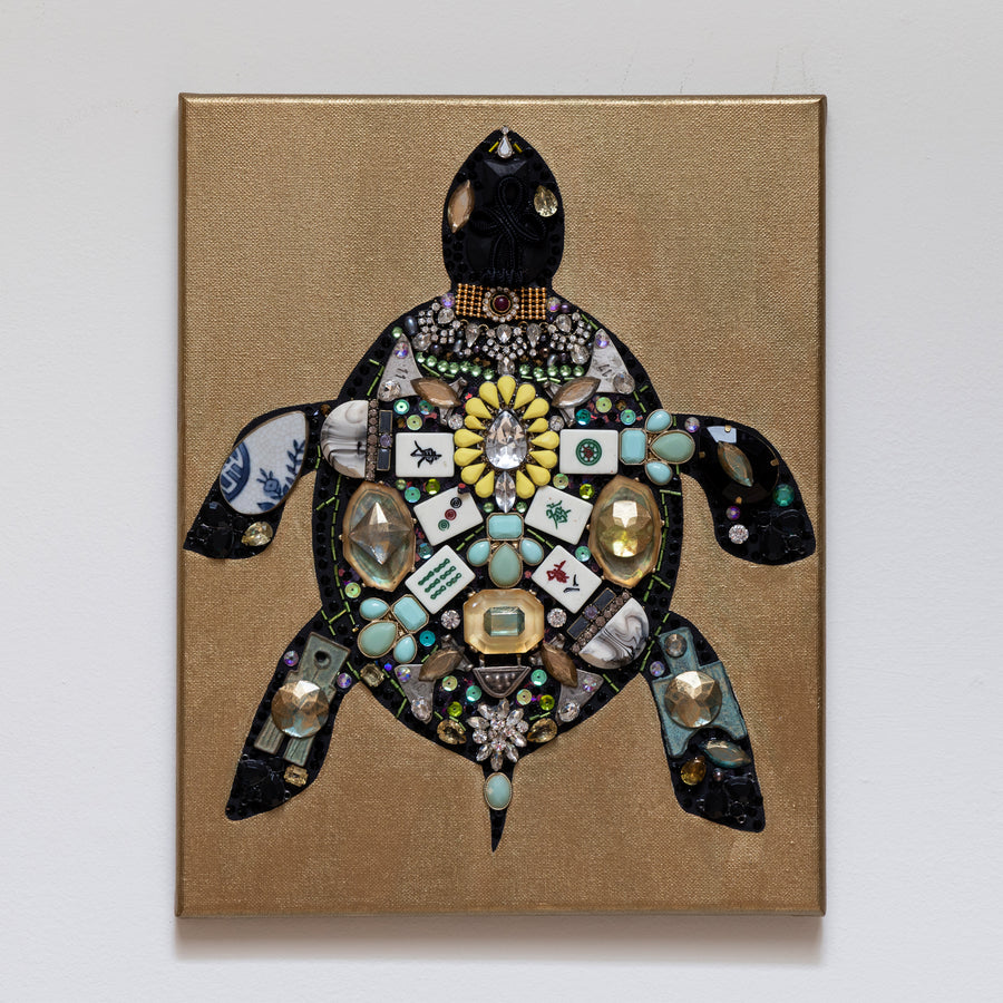 Socialite Tortoise
