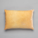 Velvet Ombre Lumbar Pillows