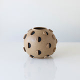 Nutmeg Vessel Collection