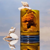 Day Dreamer Candle and Diffuser
