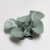 Matte Seafoam #2