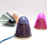 Sedum Lamp