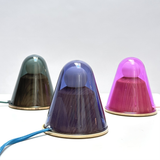 Sedum Lamp