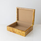 Natural Burl Wood Box