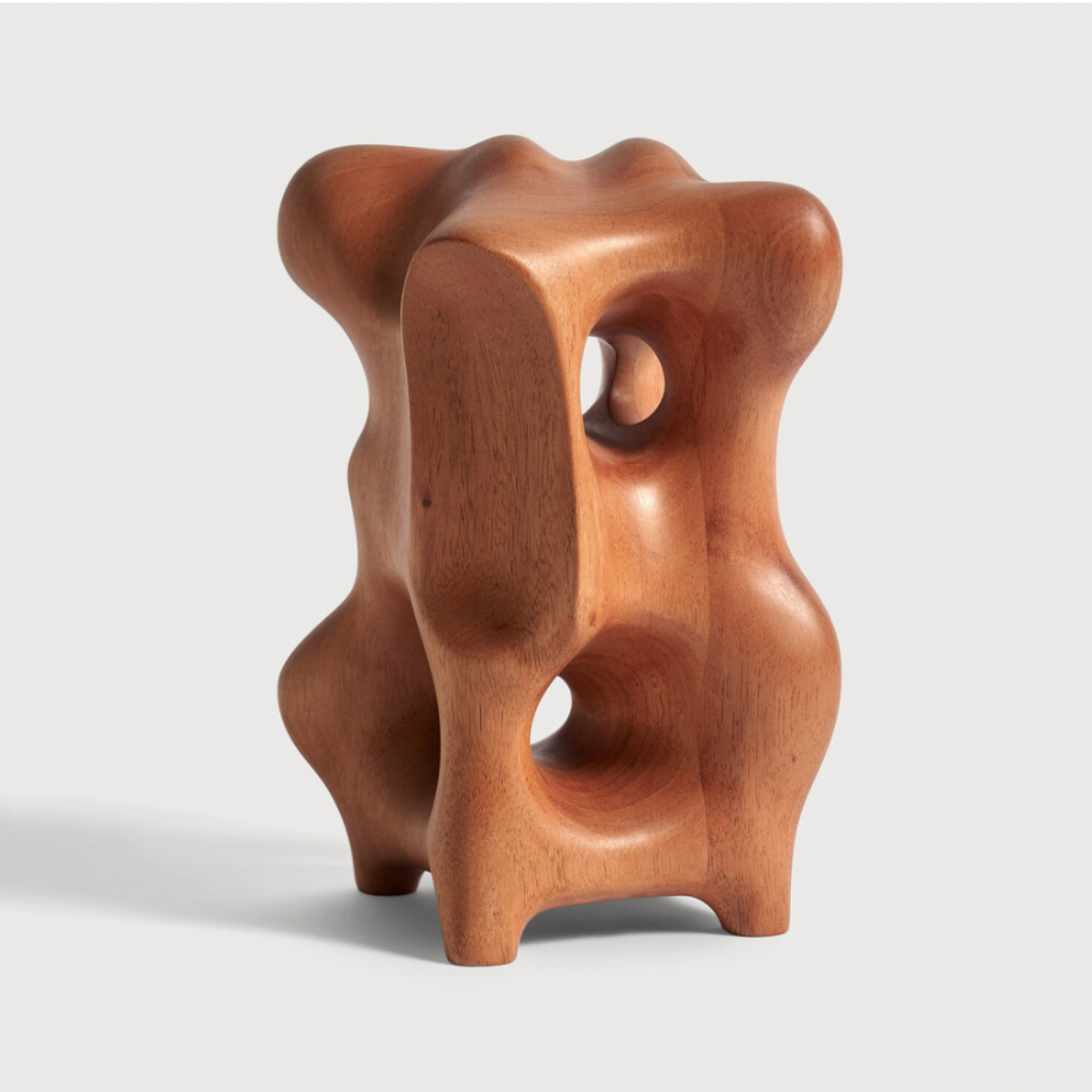 Natural Organic Sculpture