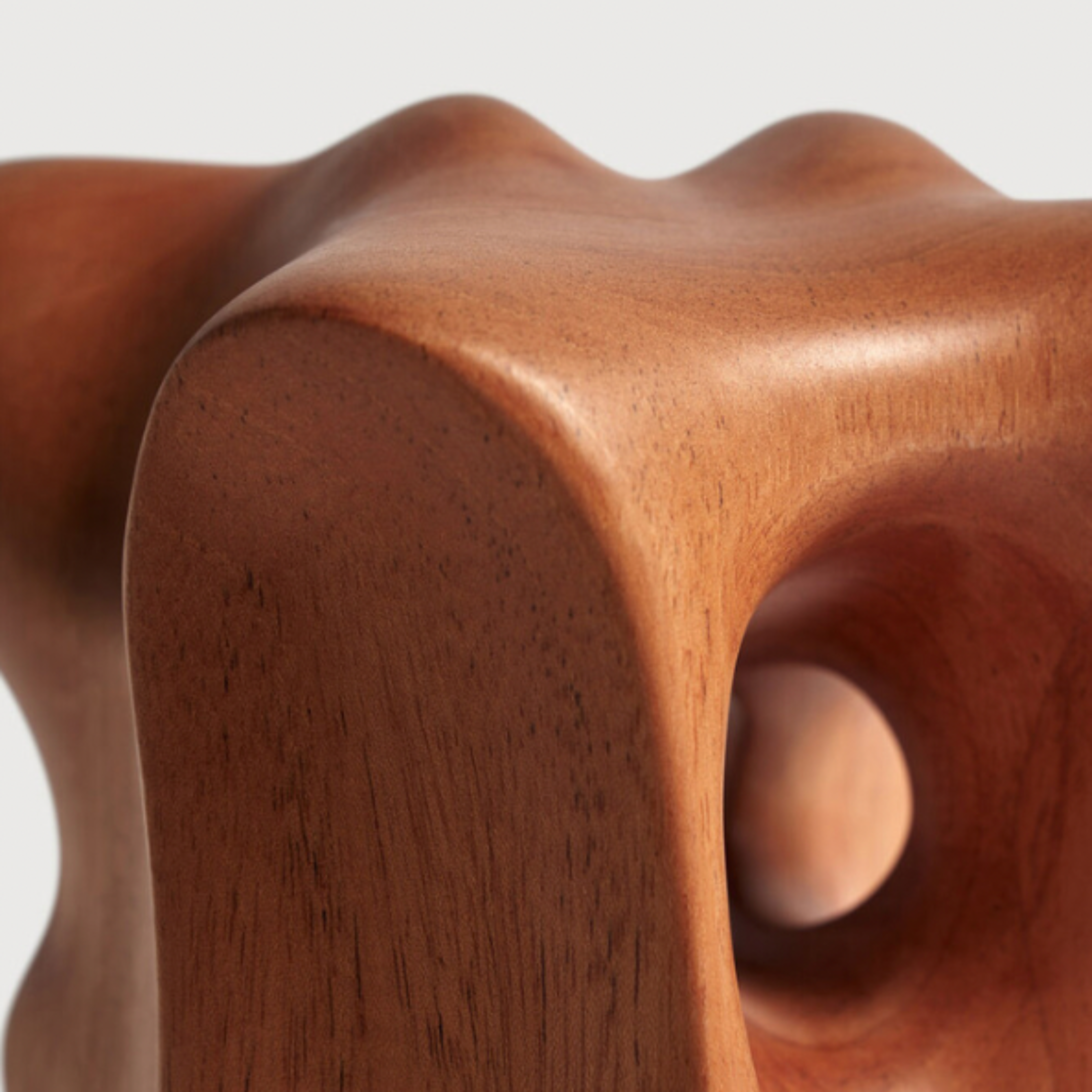 Natural Organic Sculpture