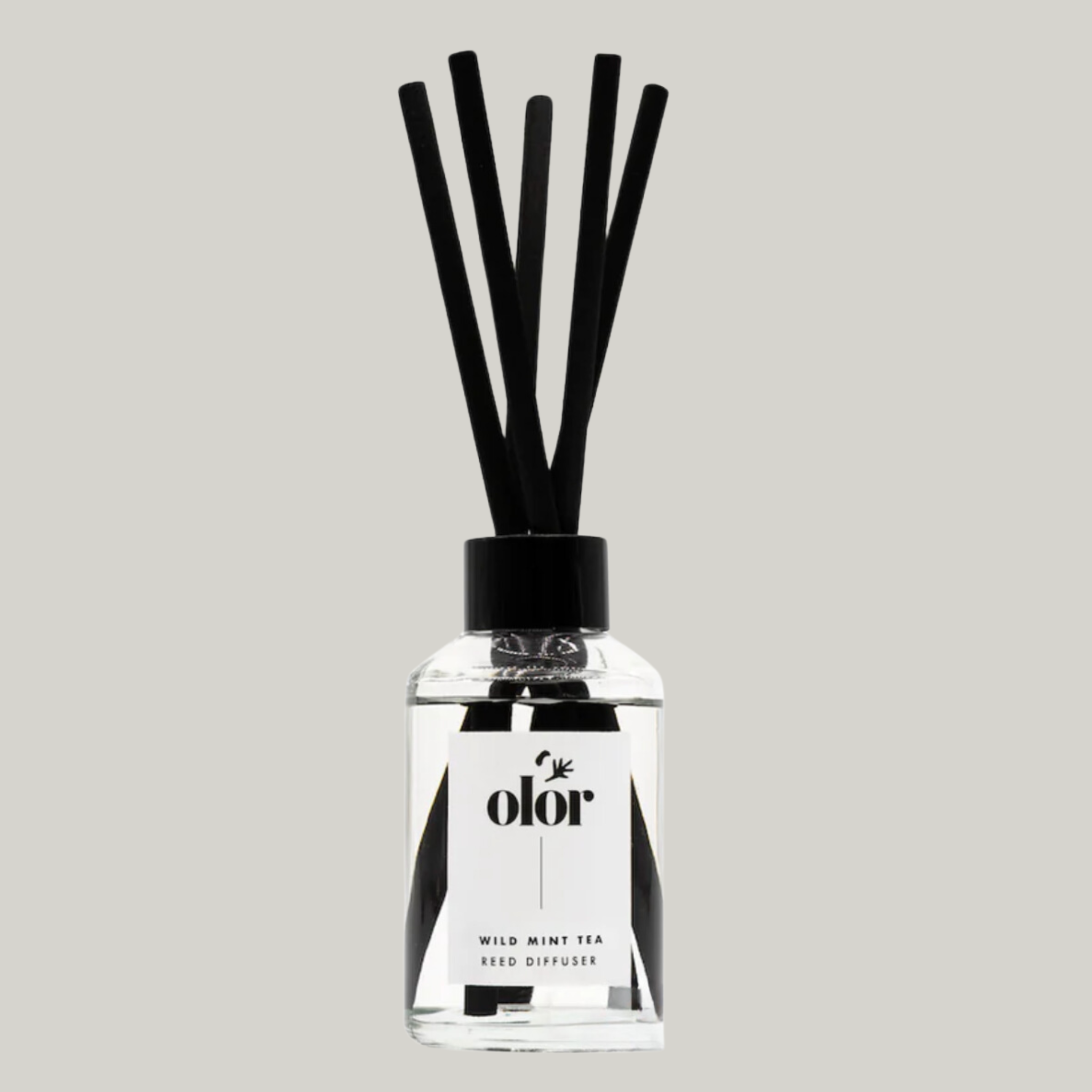 Wild Mint Tea Diffuser