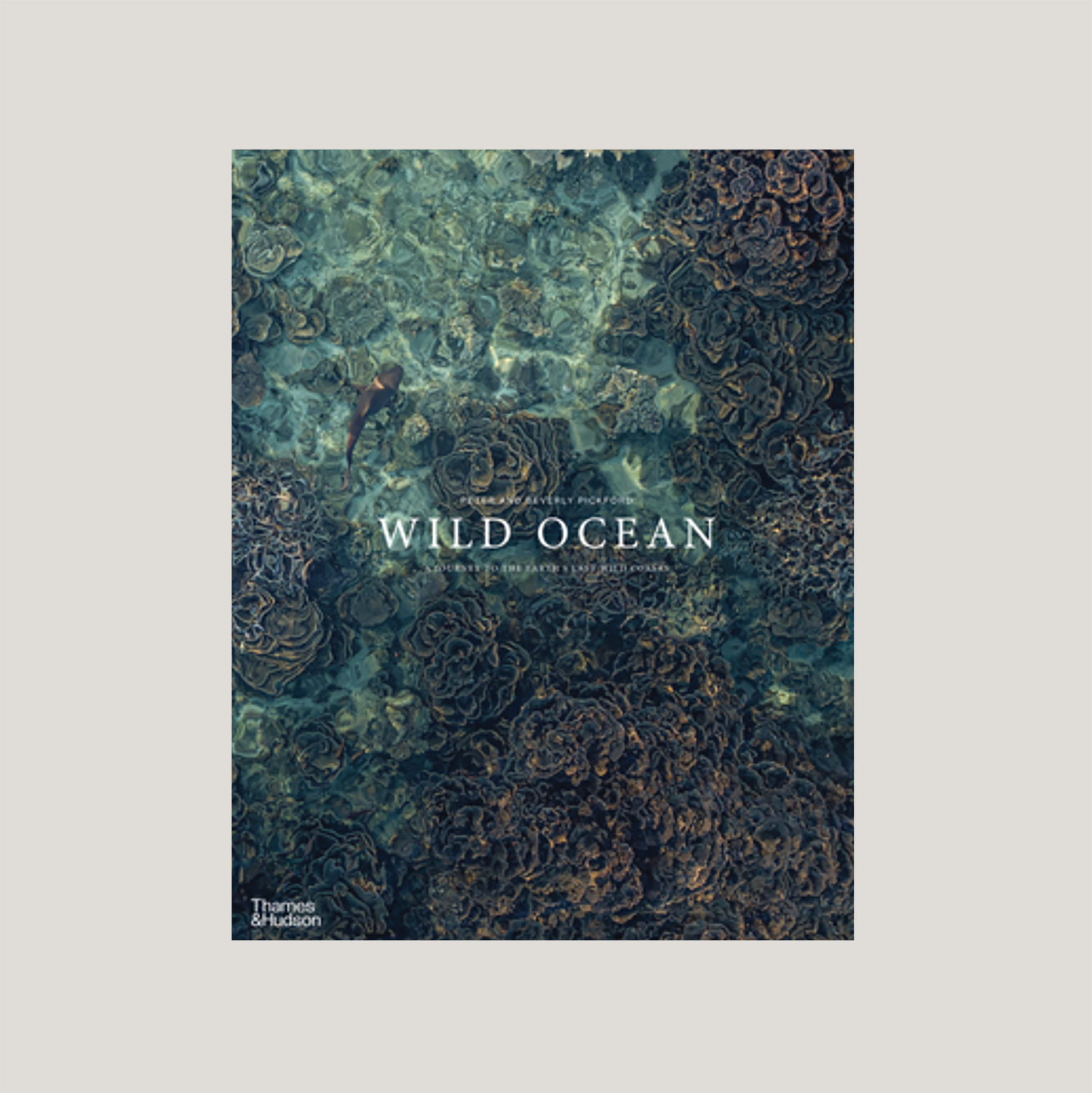 Wild Ocean
