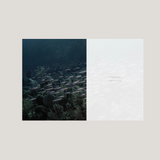 Wild Ocean