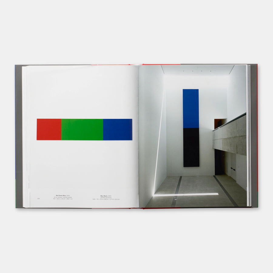 Ellsworth Kelly, Tricia Paik