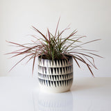 Triangle Planter
