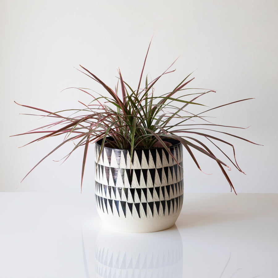 triangle plant pot Triangle Planter – Comerford Collection