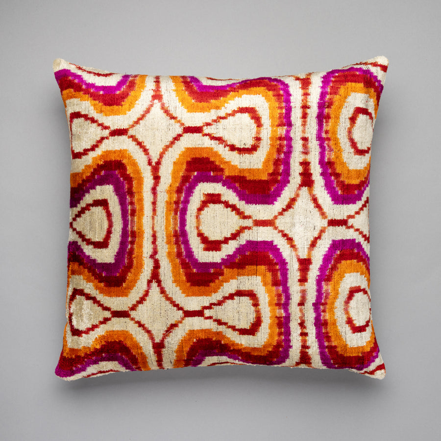 Printed Silk Velvet Pillows