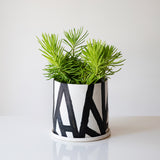 Pane Planter