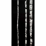 Black Birch Series #13