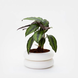 Short Stacking Planter